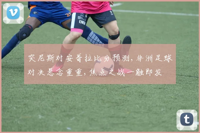突尼斯对安哥拉比分预测,非洲足球对决悬念重重,焦点之战一触即发