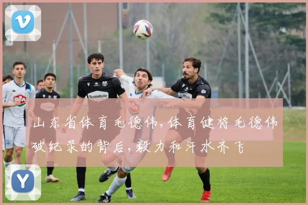山东省体育毛德伟,体育健将毛德伟破纪录的背后,毅力和汗水齐飞